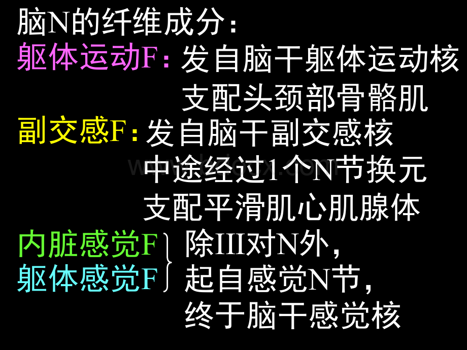 06脑神经1PPT文档格式.ppt_第2页