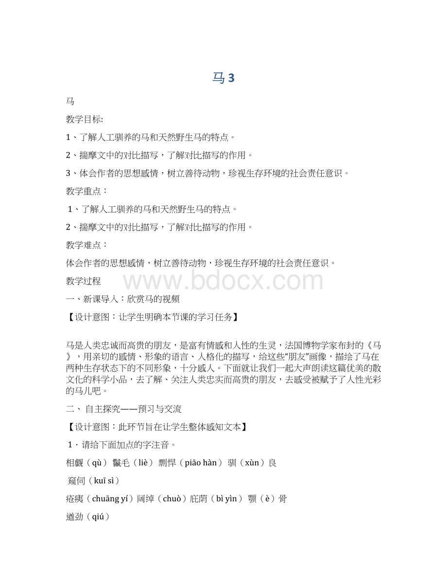 马 3.docx