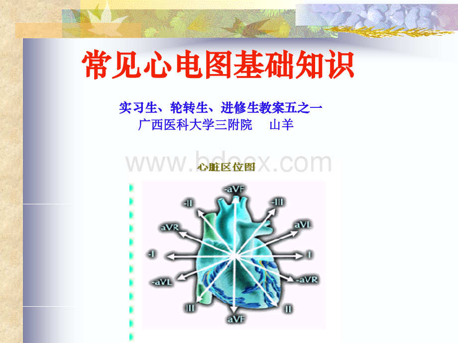 常见心电图诊断基础PPT文档格式.ppt