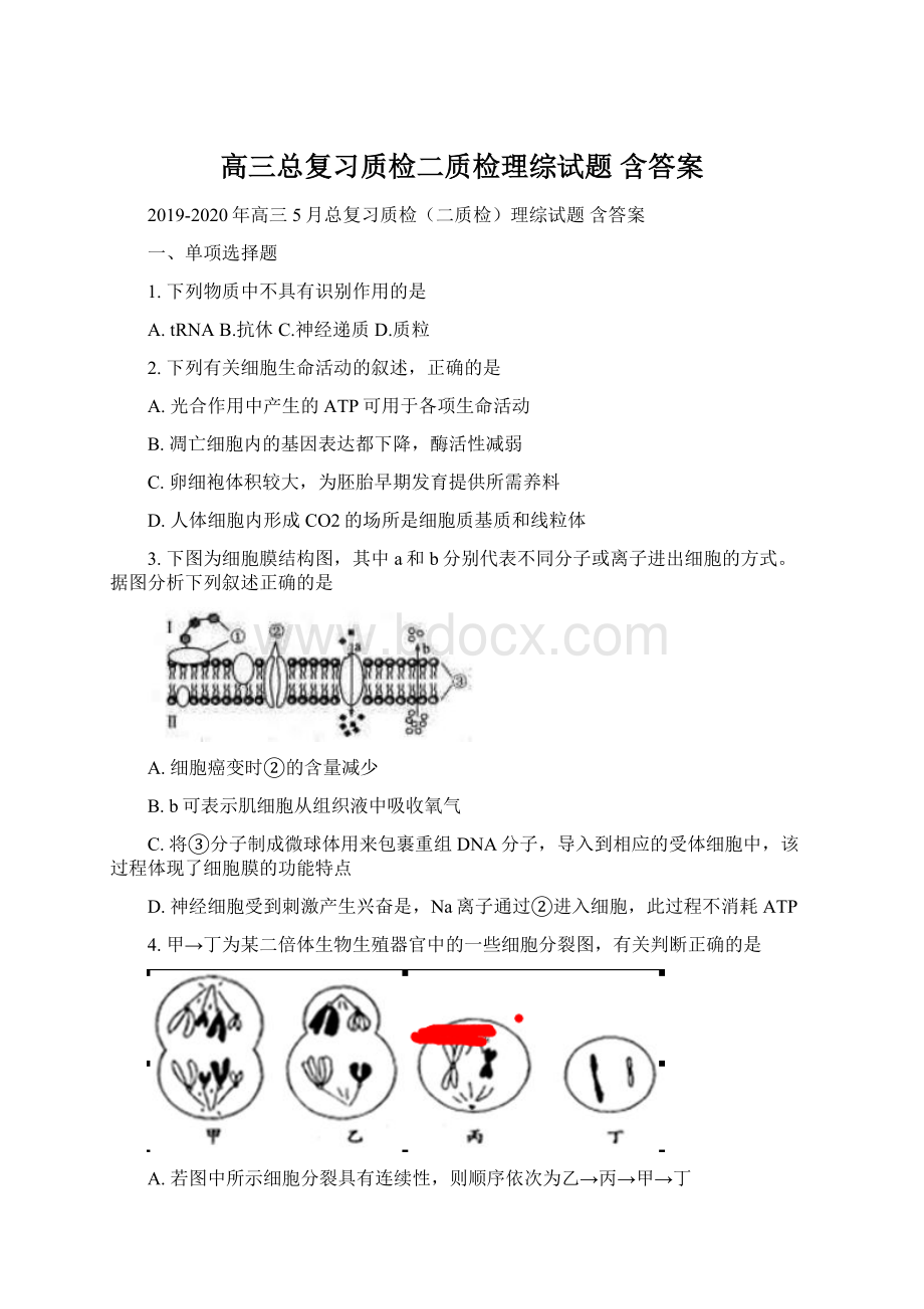 高三总复习质检二质检理综试题 含答案Word文档下载推荐.docx