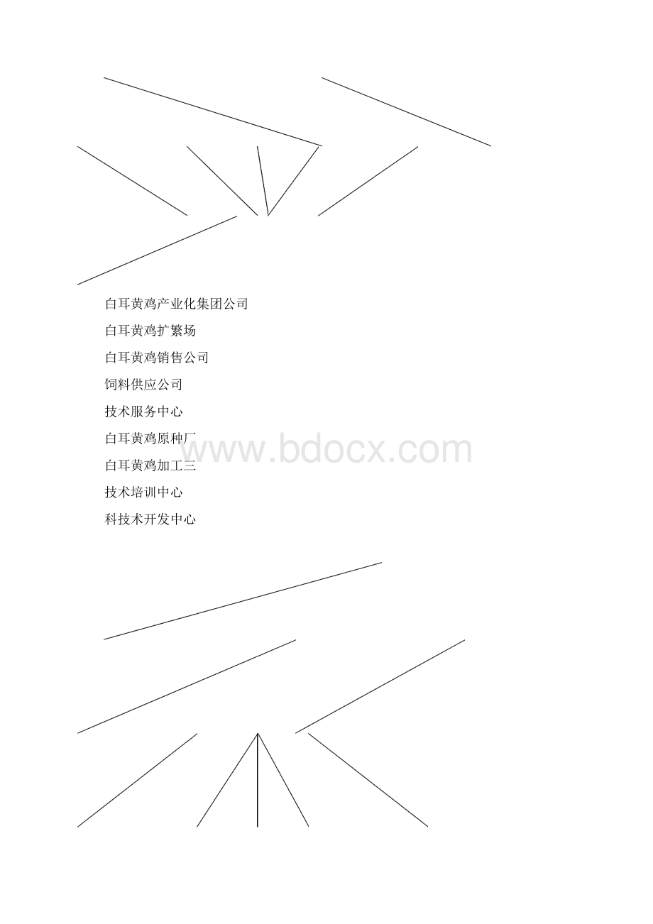 白耳黄鸡产业化生产经营项目可行性研究报告Word下载.docx_第3页