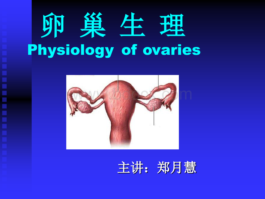 卵巢生理PPT课件下载推荐.ppt_第1页