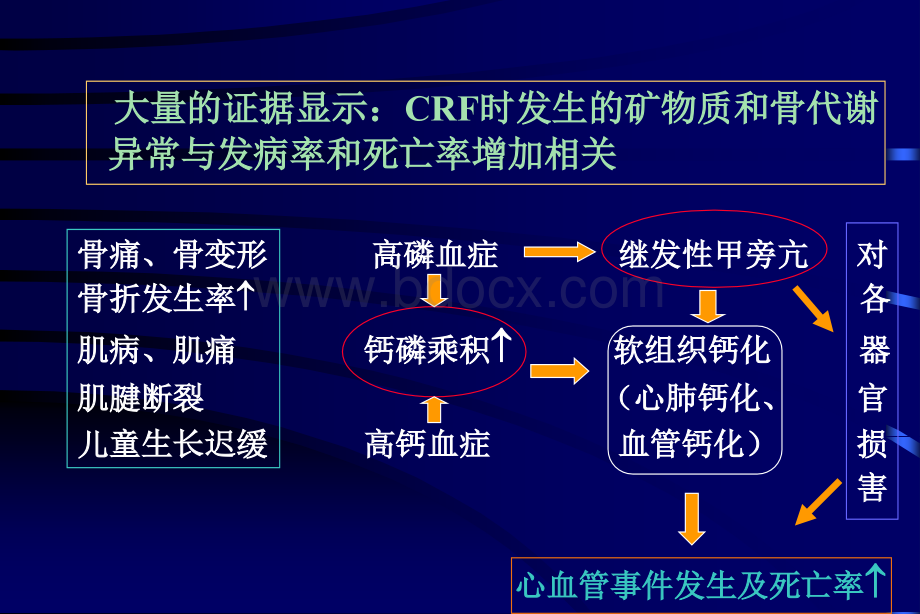 慢性肾脏病时的钙磷代谢异常及骨病-王少泽.ppt_第2页