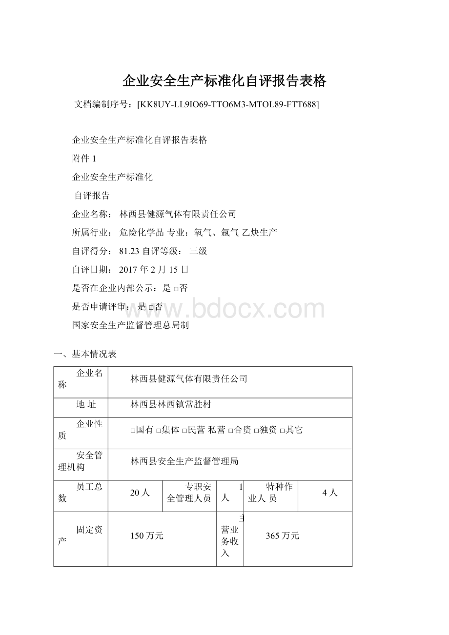 企业安全生产标准化自评报告表格Word文档格式.docx