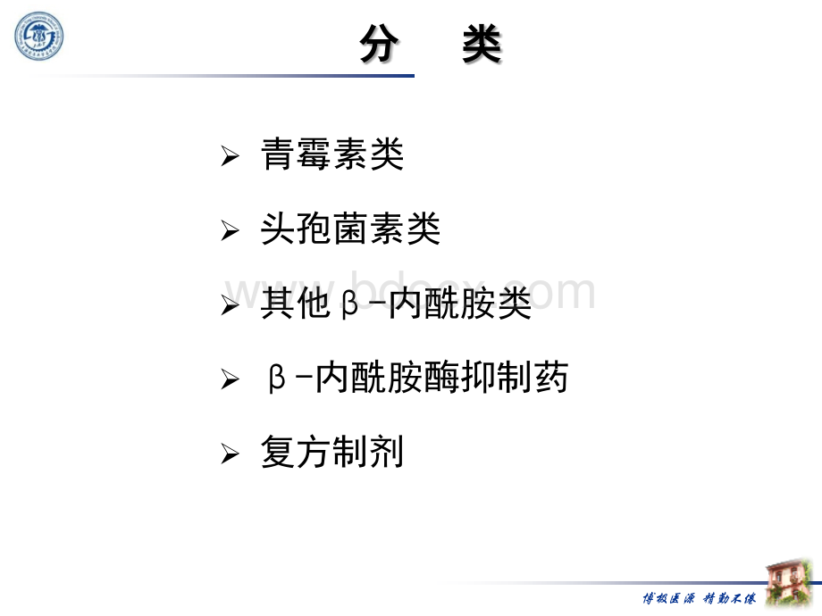 39β-内酰胺类抗生素.pptx_第3页