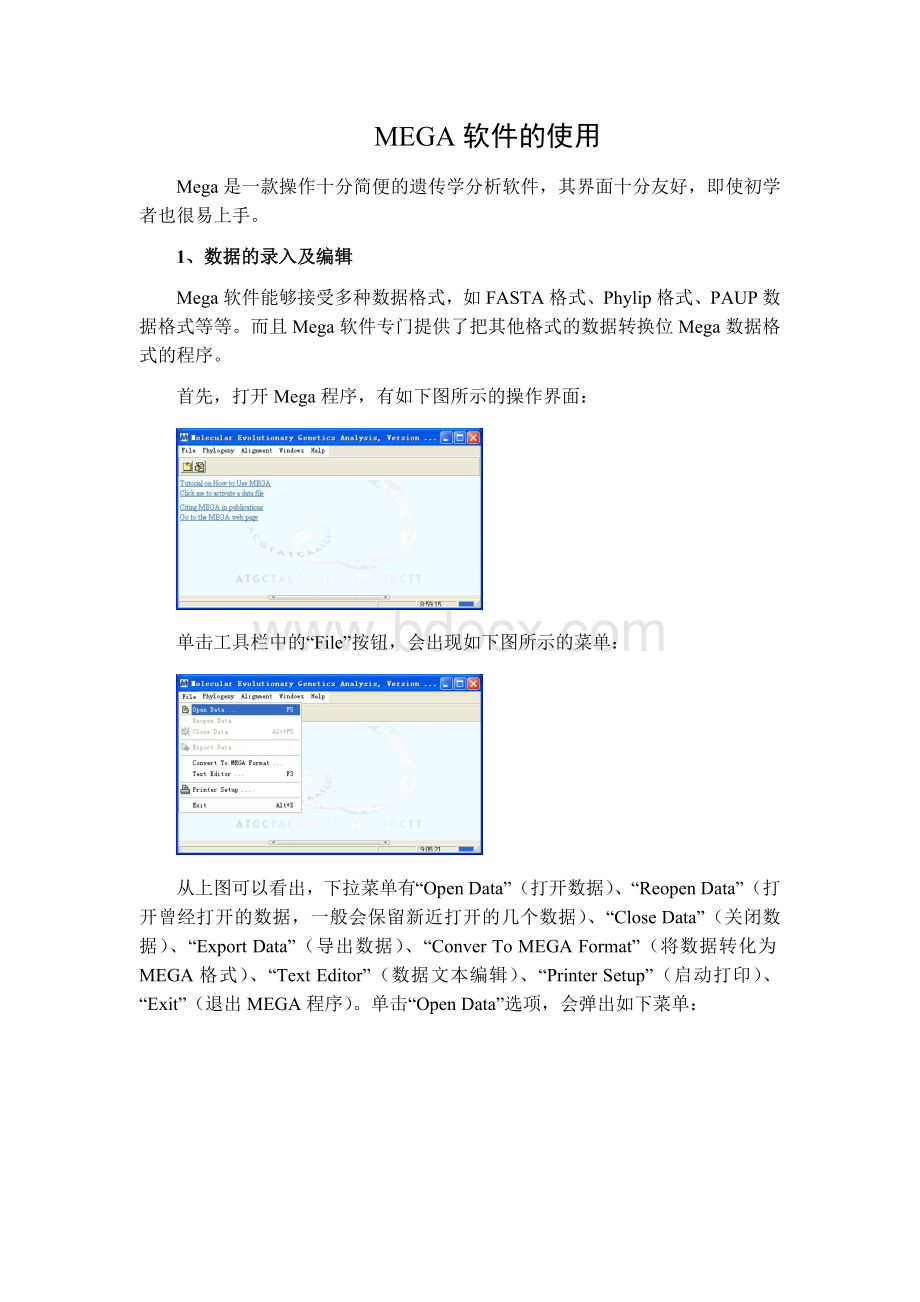 MEGA软件的使用_精品文档.doc