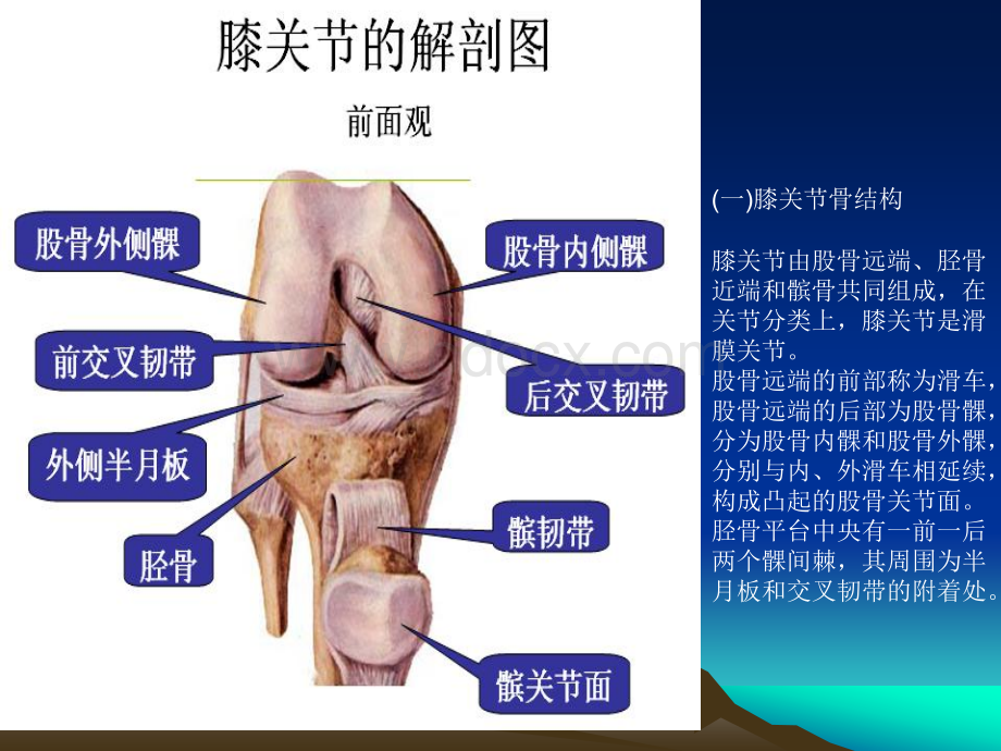 膝关节镜手术后的康复_精品文档PPT文档格式.ppt_第2页