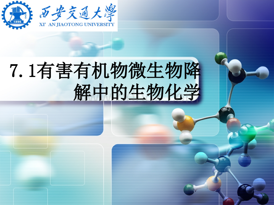 环境生物化学第七章PPT格式课件下载.ppt_第1页