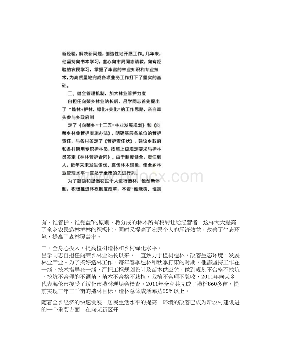 林业先进事迹材料.docx_第2页