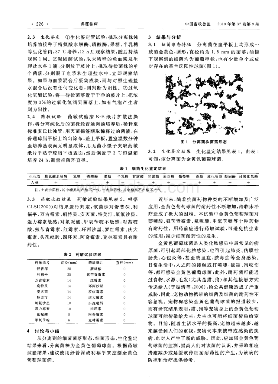 一例犬金黄色葡萄球菌病的诊断及药敏试验.pdf_第2页