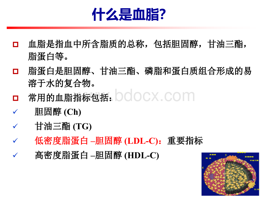 CKD患者血脂异常及治疗策略.pptx_第2页