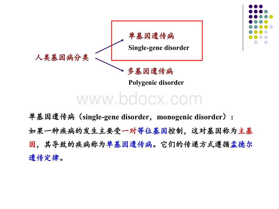 单基因疾病ppt精品文档.ppt_第2页