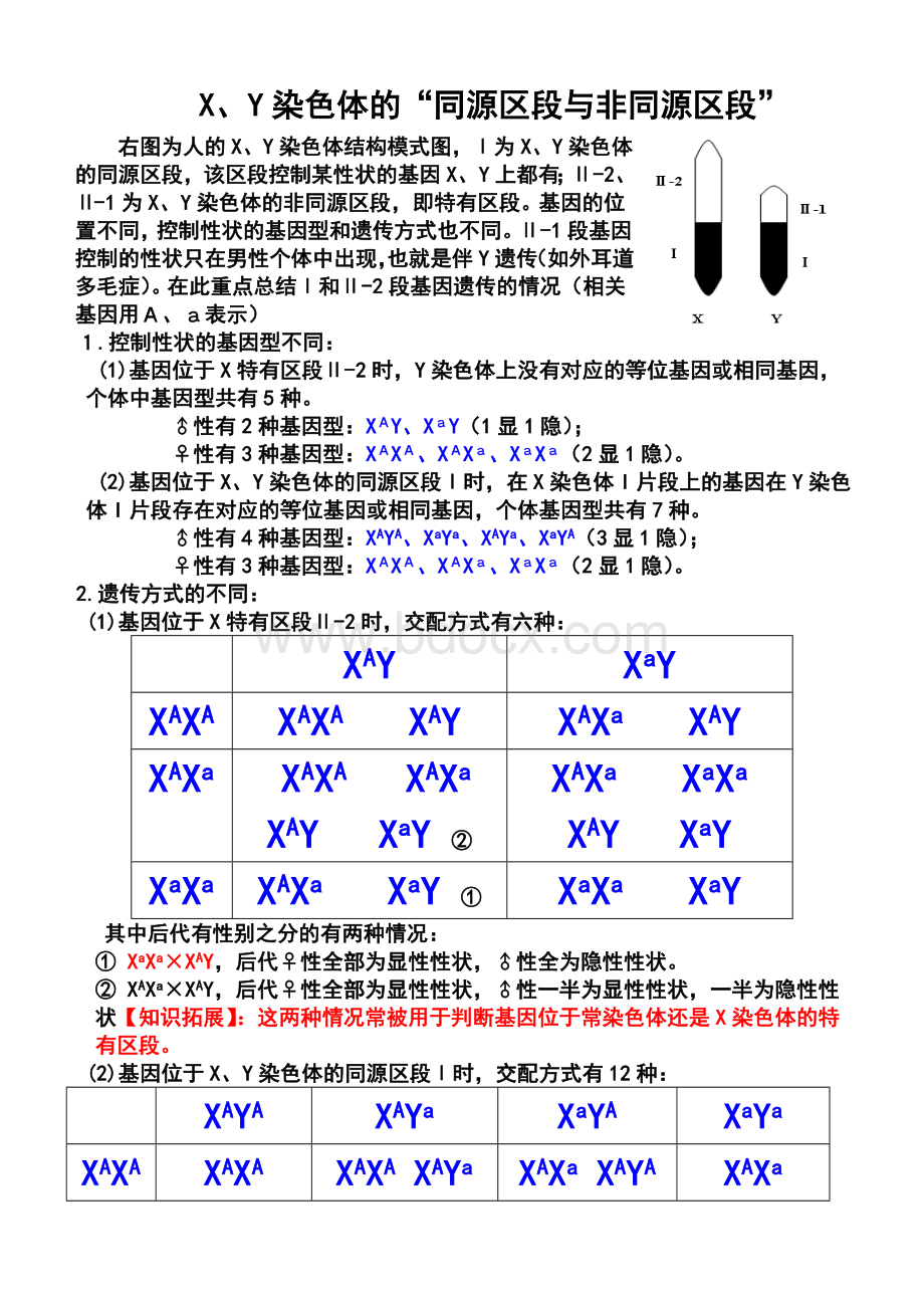XY染色体的“同源区段与非同源区段”_精品文档.doc_第1页