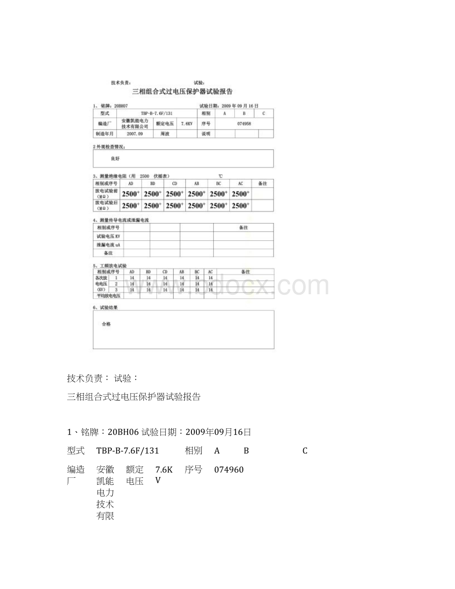 三相组合式过电压保护器试验Word文档下载推荐.docx_第3页