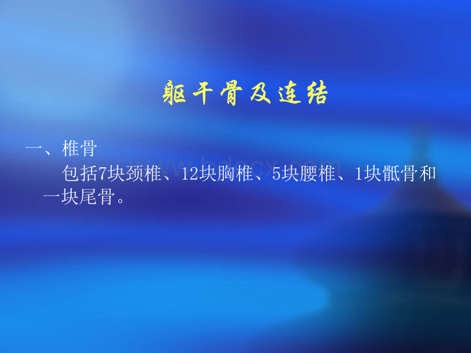 躯干骨及其连结PPT课件优质PPT.ppt