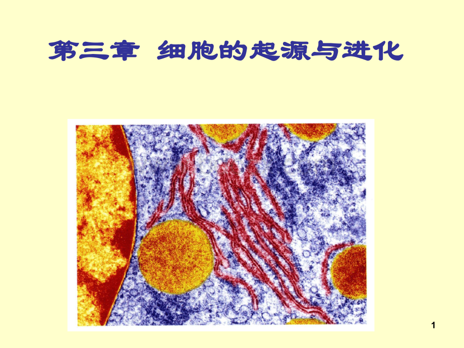 第三章细胞的起源与进化HG.ppt