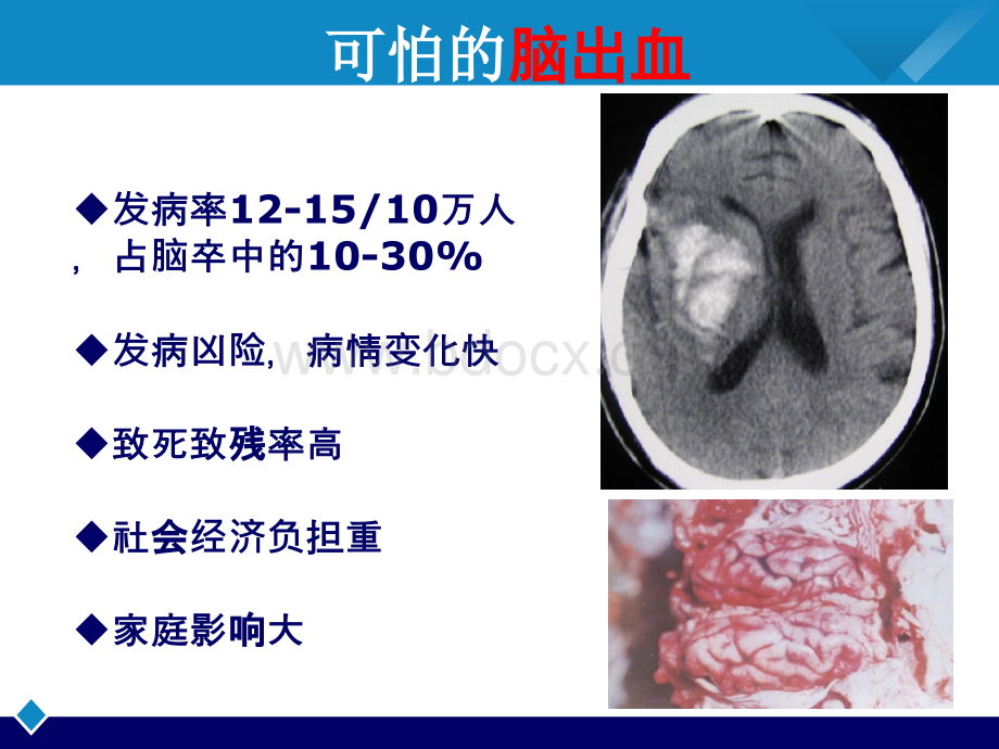 指南解读_精品文档优质PPT.pptx_第2页