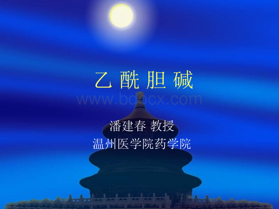 乙酰胆碱-2PPT文件格式下载.ppt