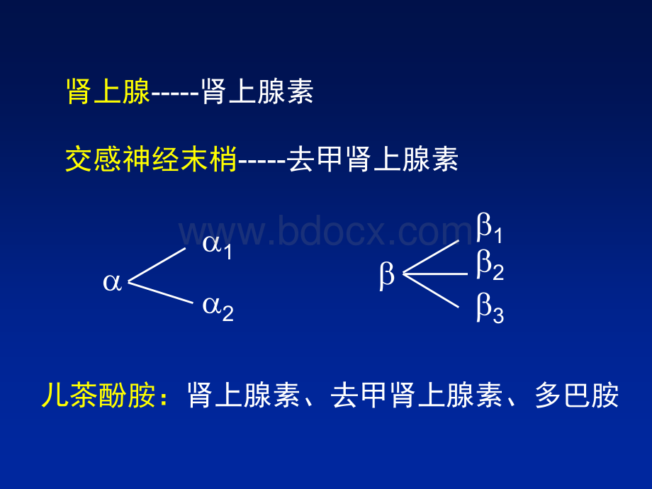 β受体阻滞剂在冠心病中的应用PPT推荐.ppt_第2页