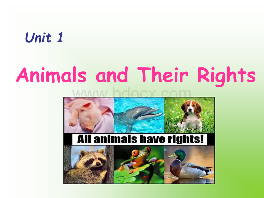 阅读教程4蒋静怡Unit-1animals-and-their-rights-1.ppt_第1页