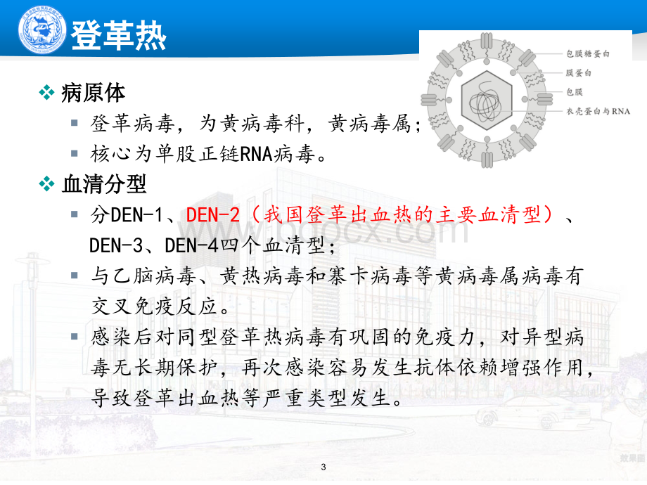 登革热疫情流行形式及我省防控应对措施优质PPT.pptx_第3页