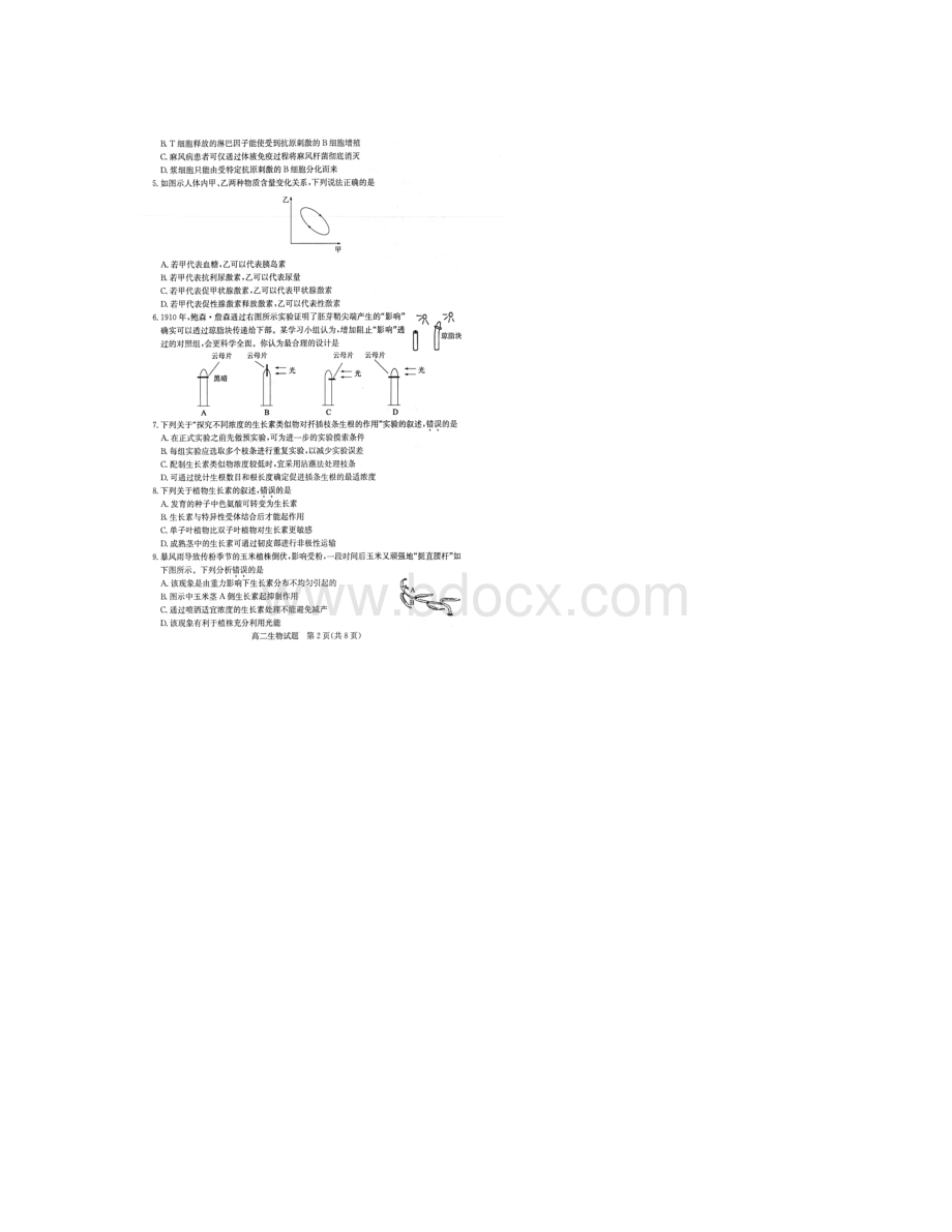 山东省滨州市学年高二上学期期末考试生物试题扫描版Word文档下载推荐.docx_第2页