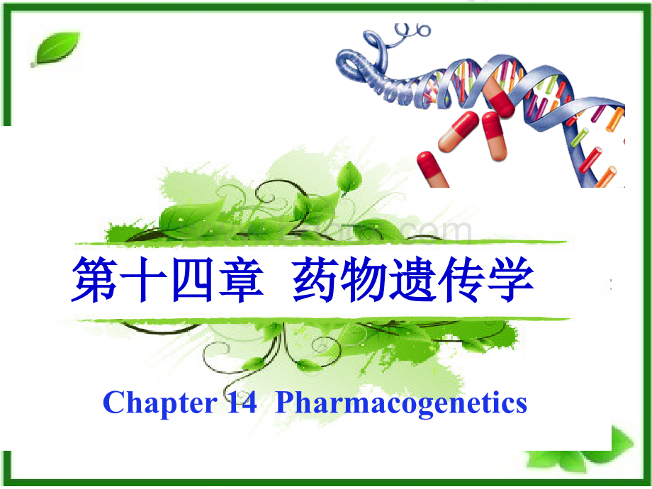 13药物遗传学2-13PPT文件格式下载.ppt