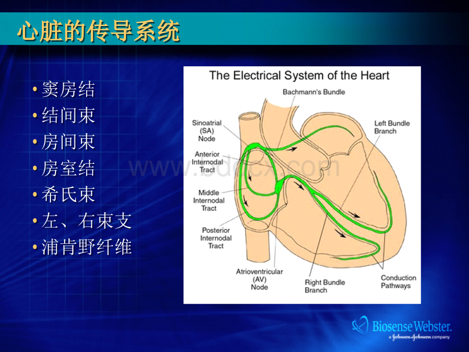 临床电生理培训知识-经典.ppt_第3页