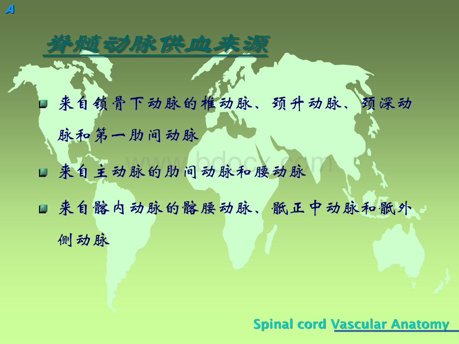脊髓血管解剖_精品文档PPT文件格式下载.ppt_第2页
