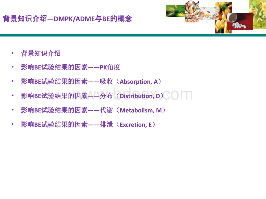 恒兴医药郭建军_如何从ADME角度分析BE数据.pptx_第2页