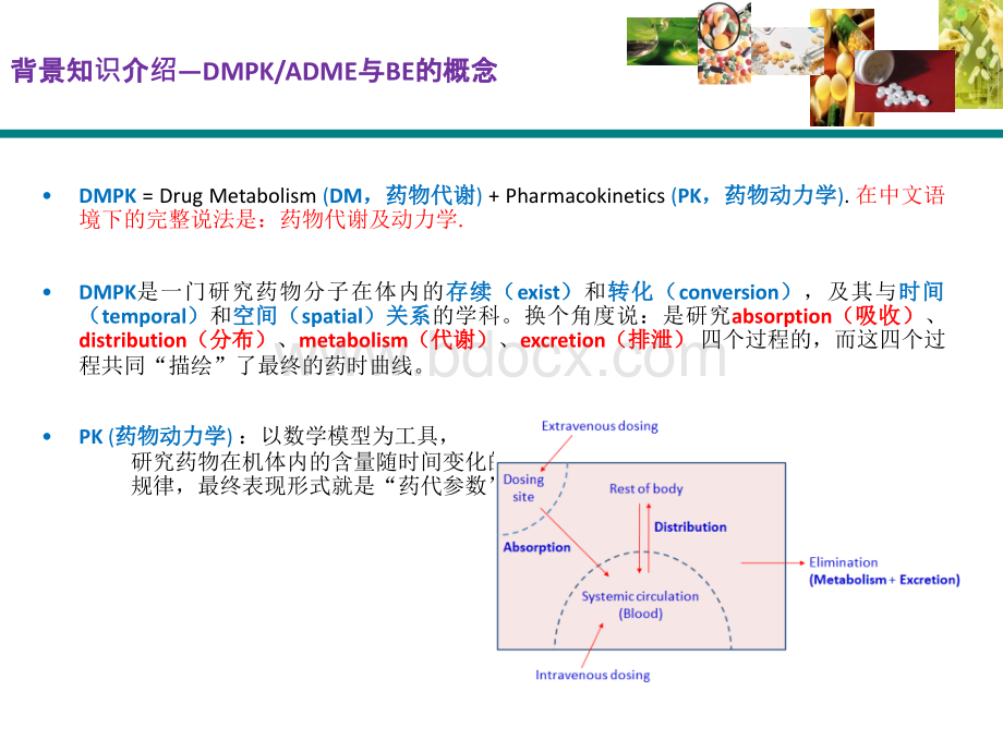 恒兴医药郭建军_如何从ADME角度分析BE数据.pptx_第3页