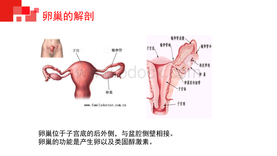 腹腔镜下卵巢囊肿剥除术配合.pptx_第3页