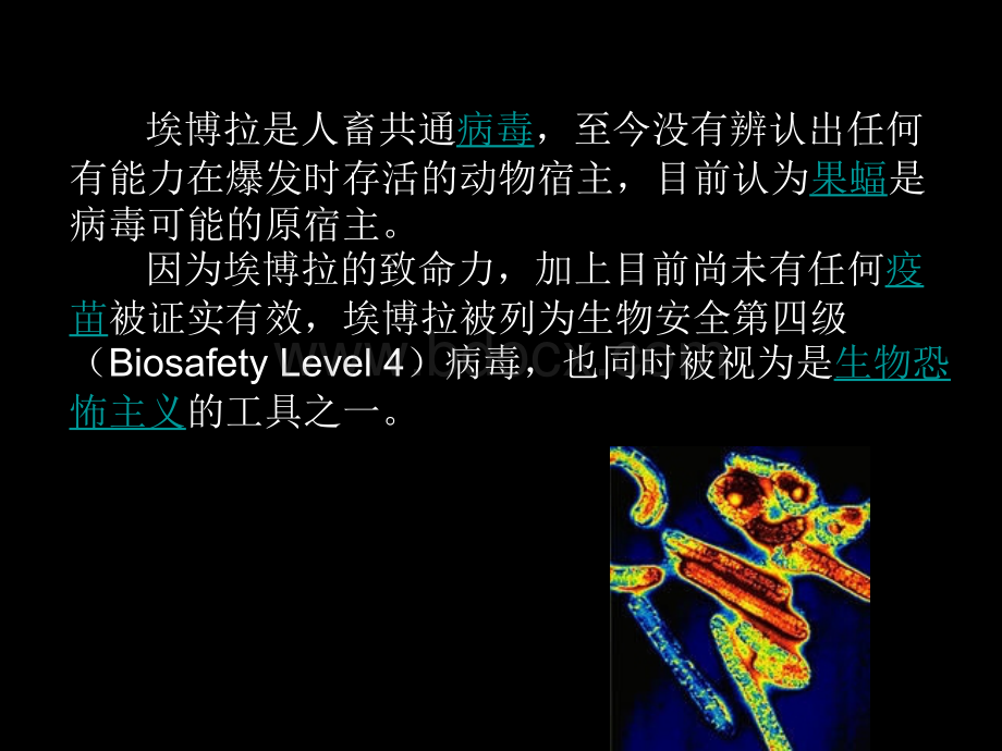 PPT埃博拉病毒PPT推荐.ppt_第3页