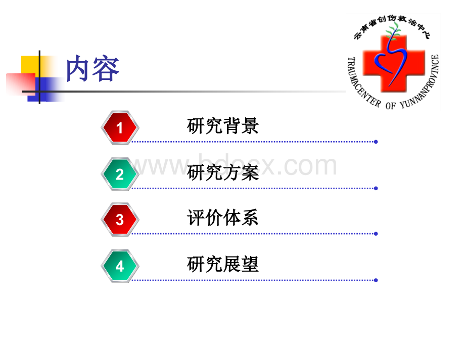 疼痛管理模式的创建与评价.ppt_第2页