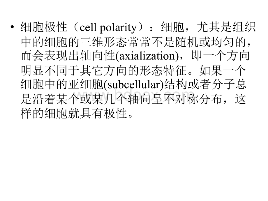 细胞极性.pptx_第2页