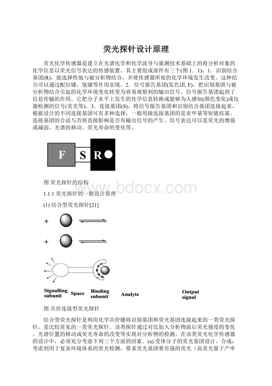 荧光探针设计原理Word格式文档下载.docx