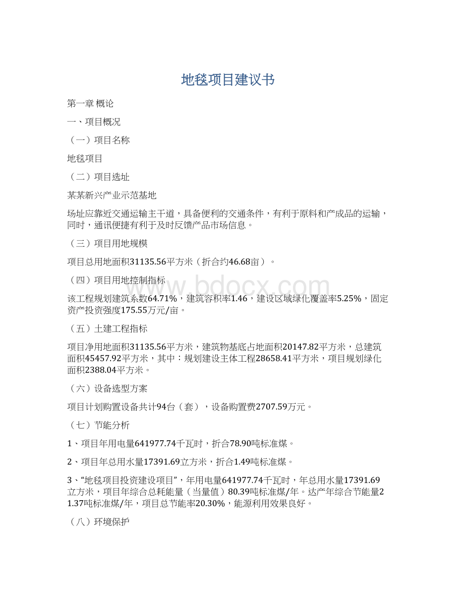 地毯项目建议书Word格式文档下载.docx