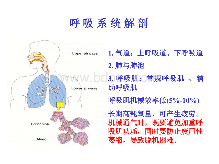 机械通气及临床应用.ppt_第2页