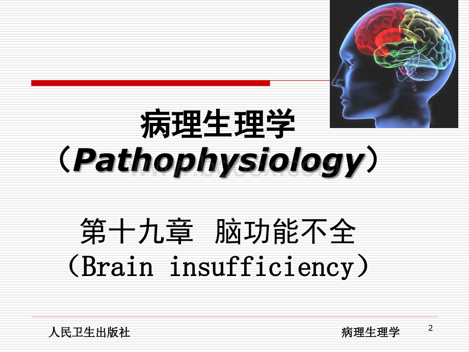 脑功能不全_精品文档.ppt_第2页