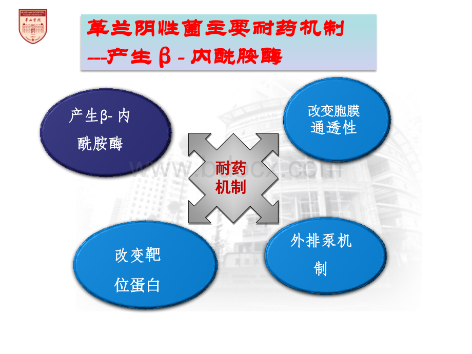 5β-内酰胺类β-内酰胺酶抑制剂合剂的组成原则-张菁.pptx_第2页