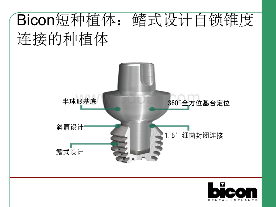 Bicon口腔种植系统简介.ppt_第2页