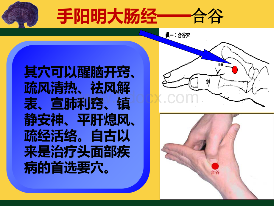 常用穴位保健与天灸.ppt_第3页