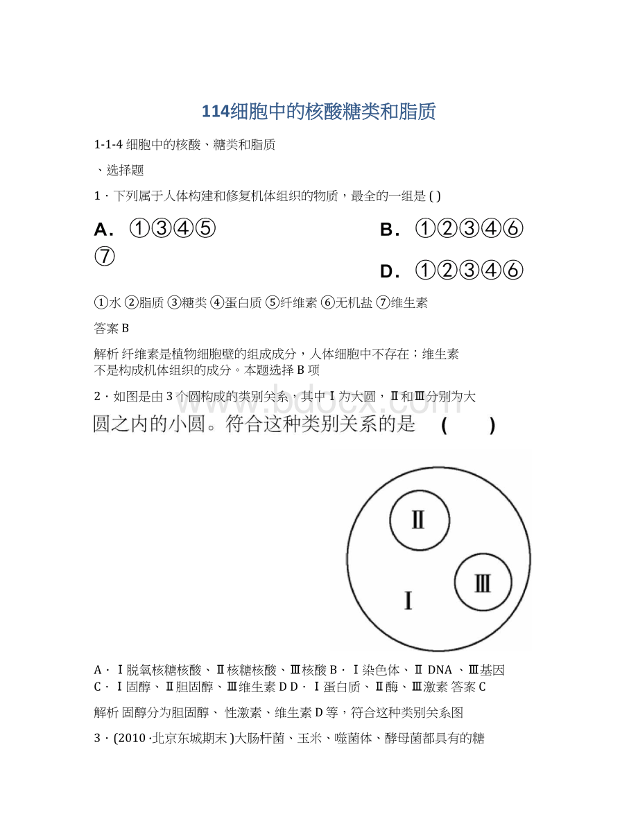 114细胞中的核酸糖类和脂质.docx_第1页