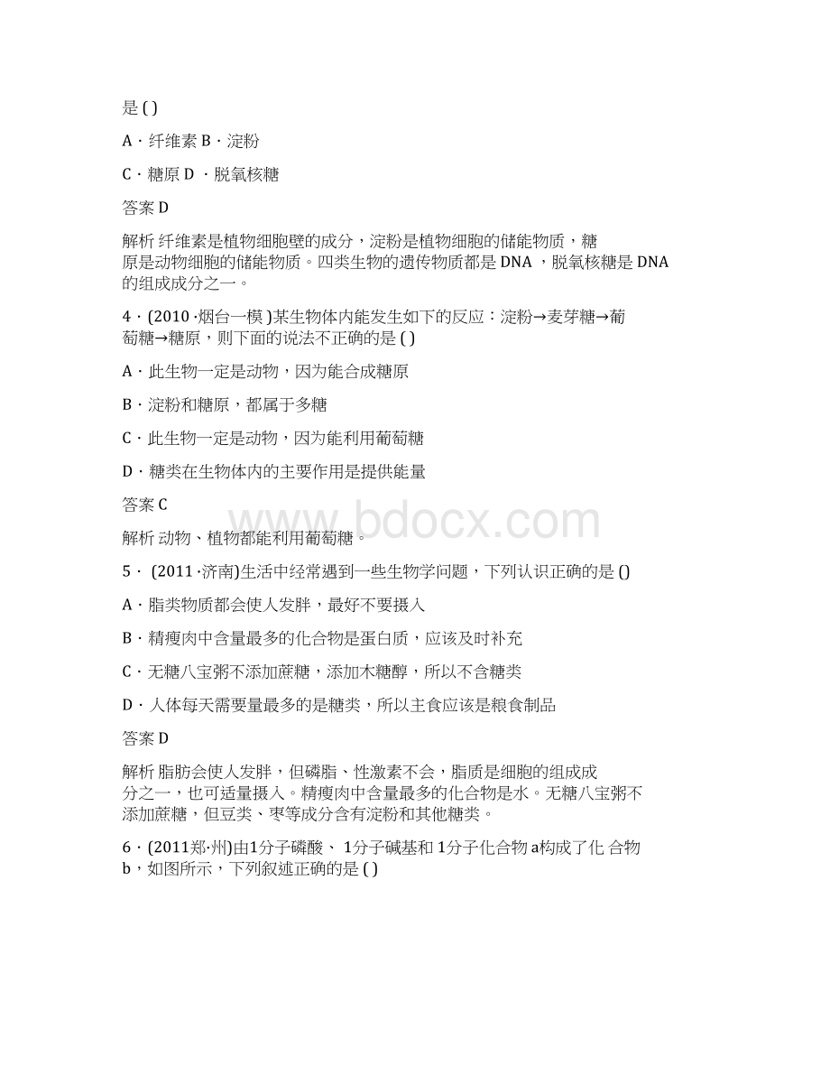 114细胞中的核酸糖类和脂质.docx_第2页