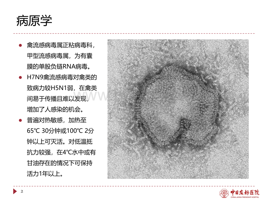 H7N9诊疗方案讲解.ppt_第2页