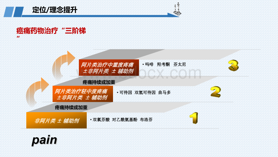 PCA镇痛技术在难治性癌痛治疗中的应用.ppt_第2页