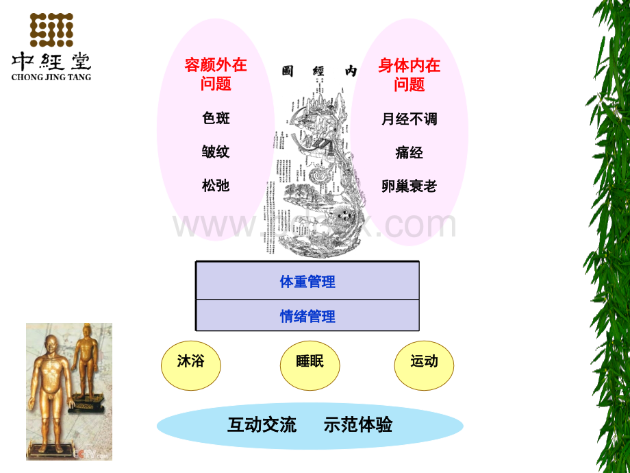 中医经络美颜养生修改精品文档PPT资料.ppt_第3页