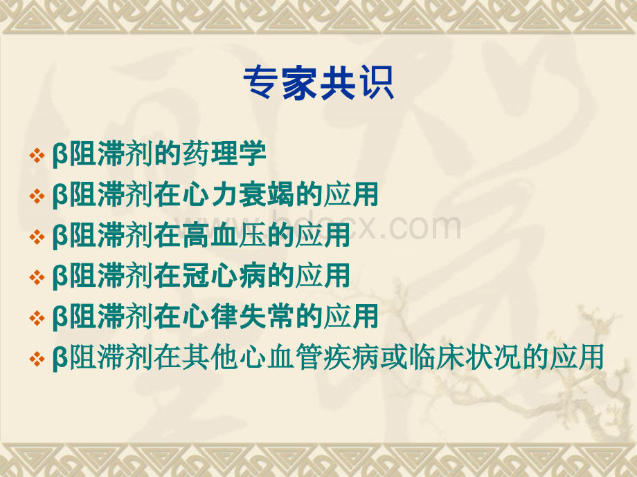 β肾上腺素能受体阻滞剂在心血管疾病应用专家共识中国PPT课件下载推荐.ppt_第2页