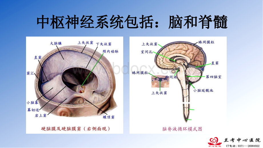 中枢神经系统影像诊断思路颅脑基础优质PPT.pptx_第2页