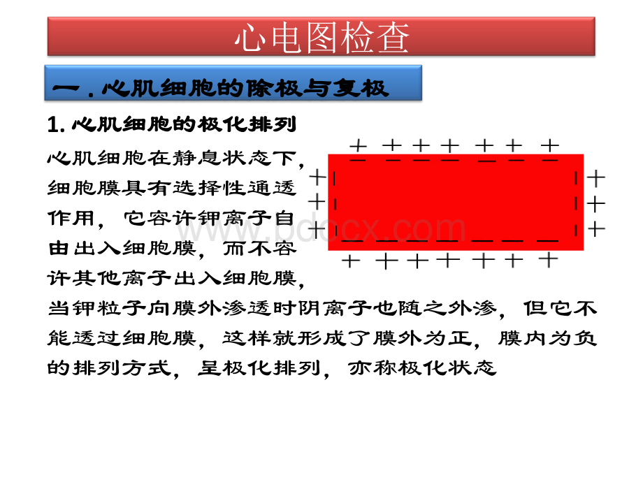 心电图检查.pps_第2页